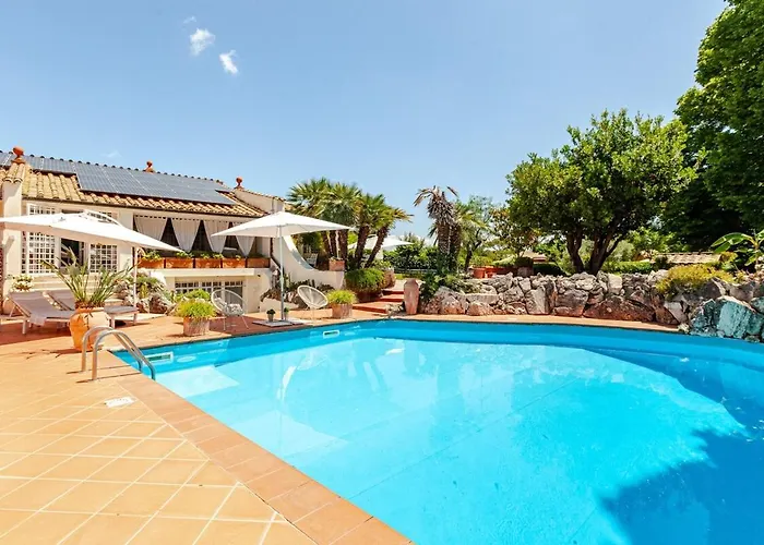 Luxury With Swimming Pool In Roma