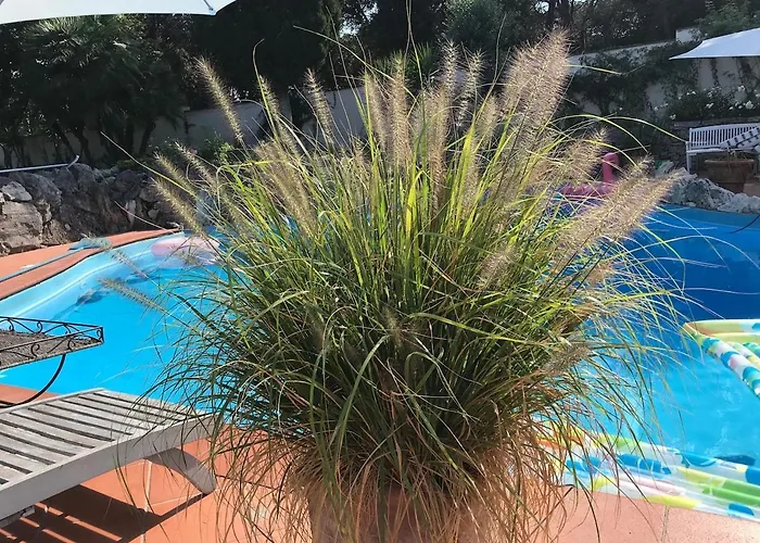 Luxury With Swimming Pool In * Roma